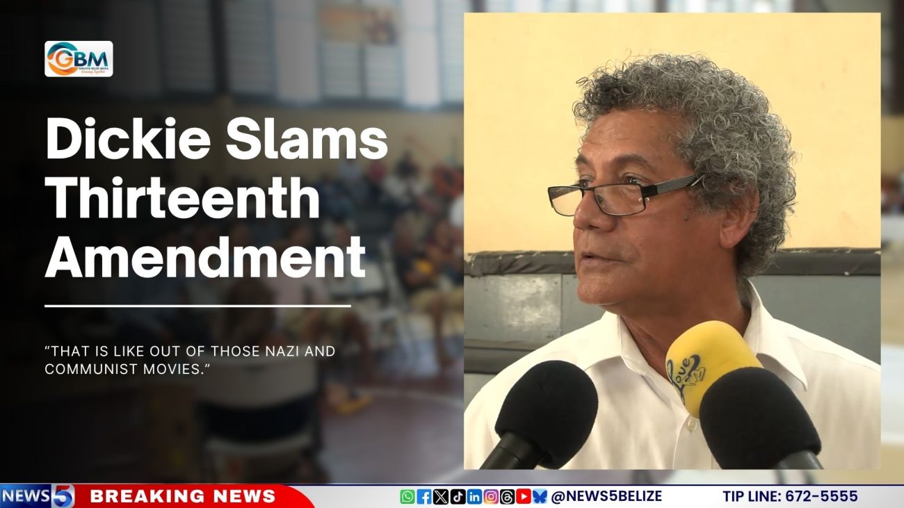 Dickie Slams Thirteenth Amendment