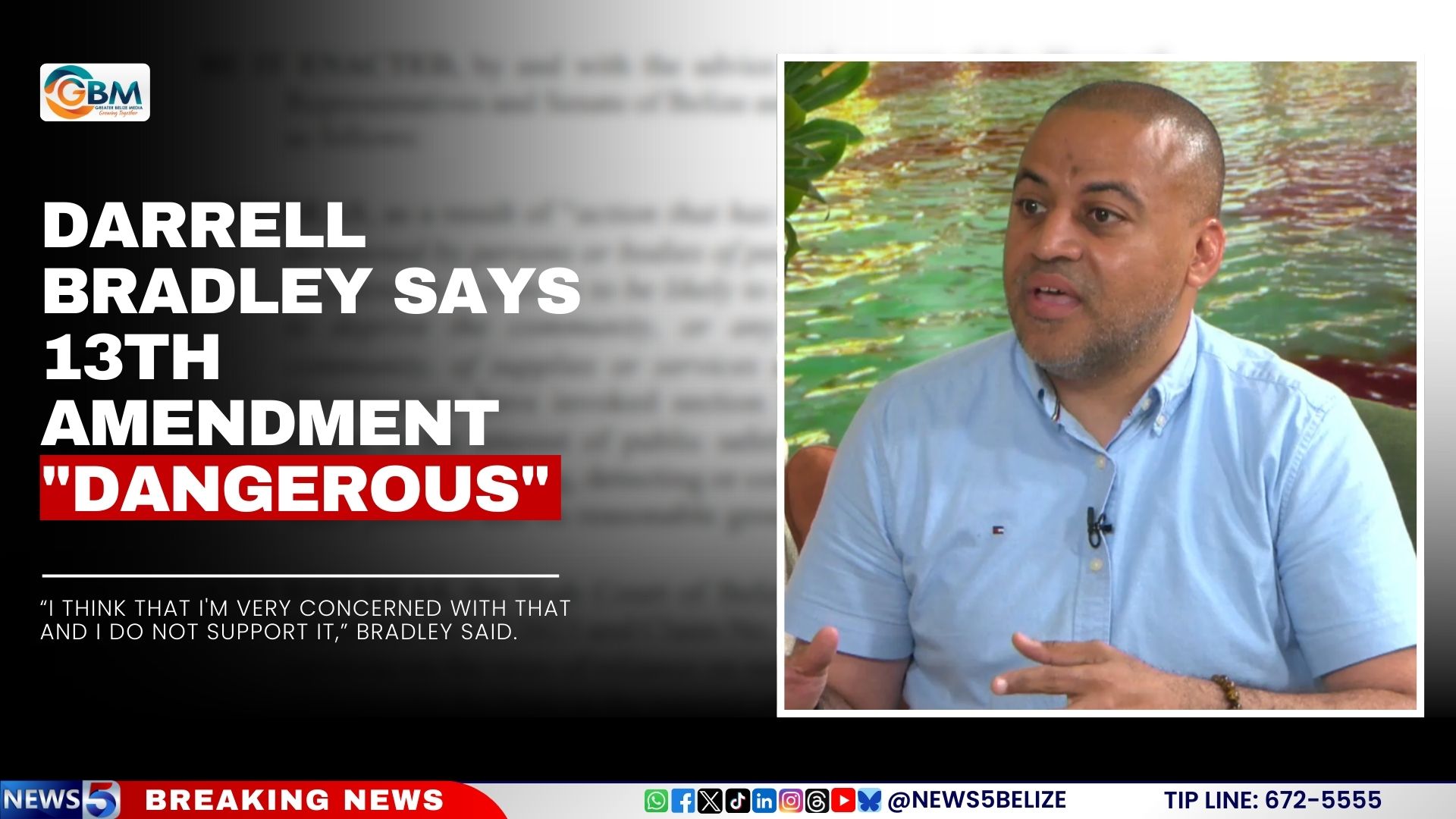 Darrell Bradley says 13th Amendment "Dangerous"