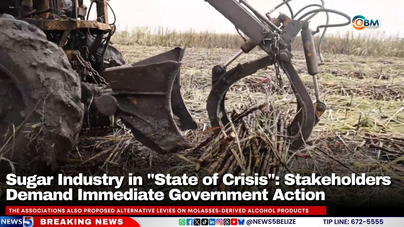 Sugar Industry in "State of Crisis": Stakeholders Demand Immediate Government Action