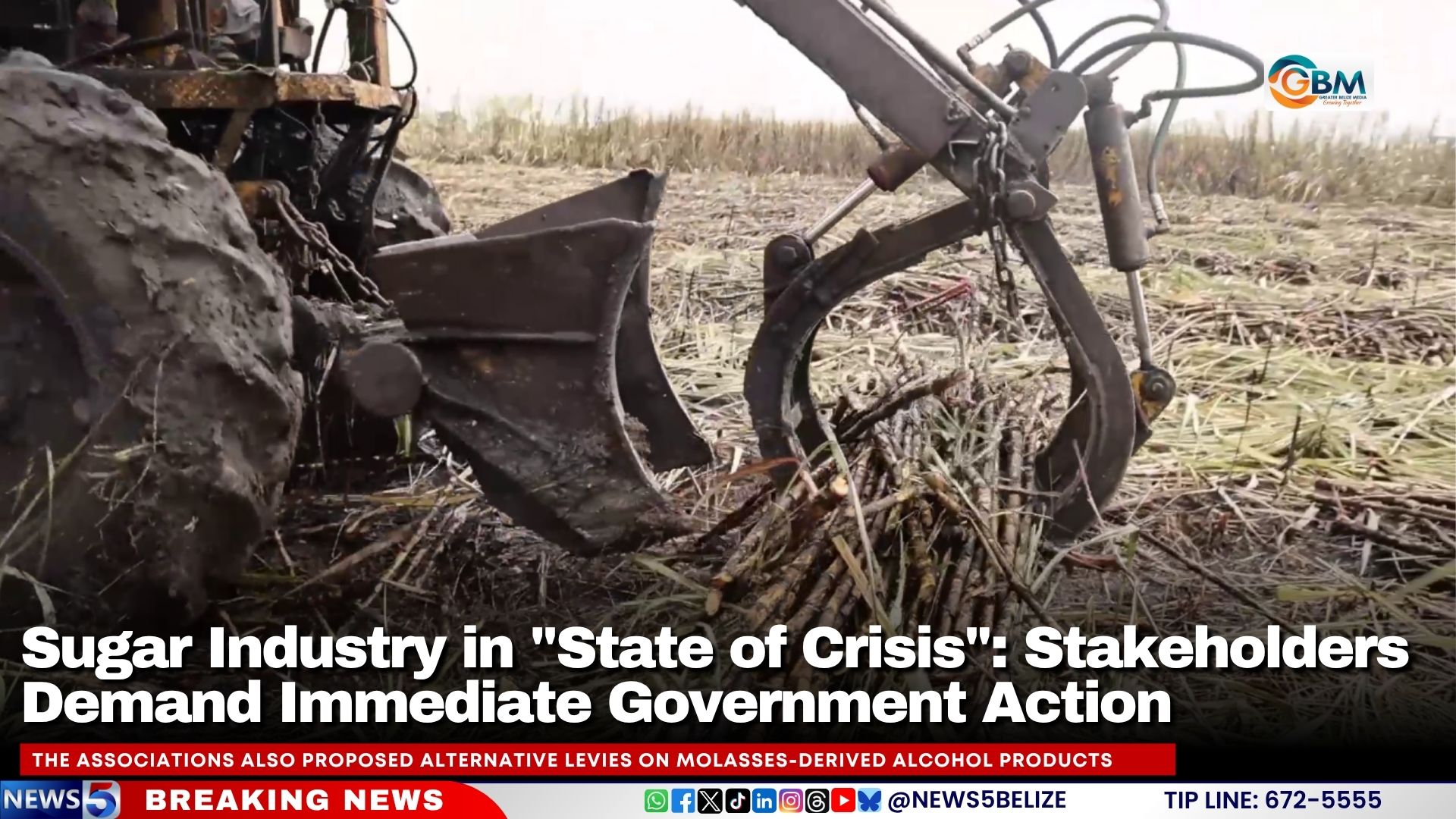Sugar Industry in "State of Crisis": Stakeholders Demand Immediate Government Action