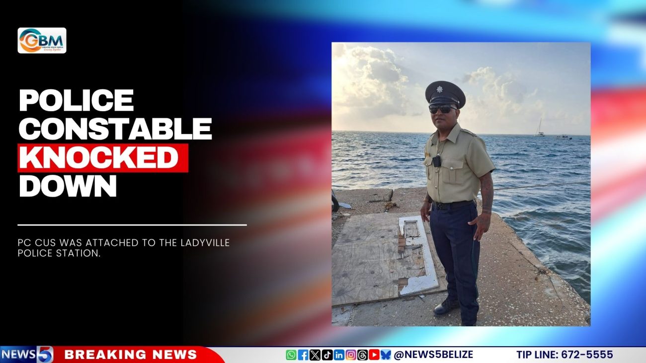 Police Constable Knocked Down