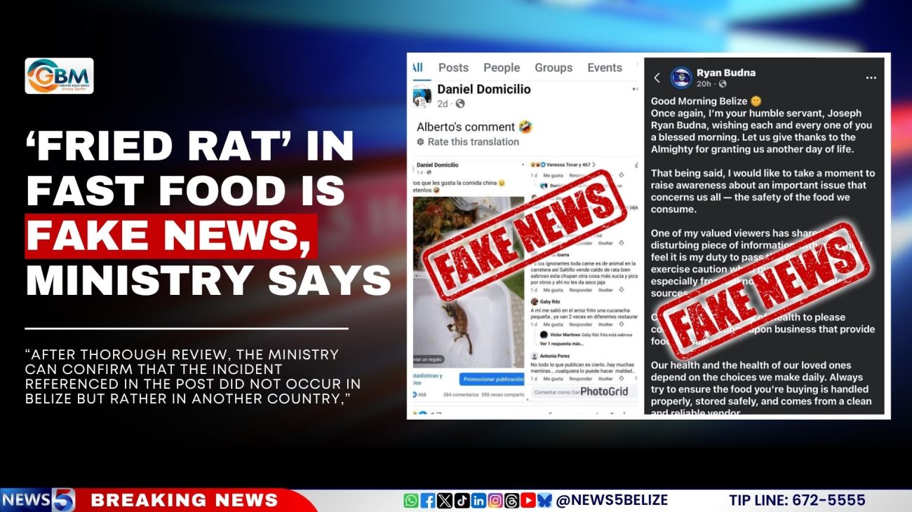 ‘Fried Rat’ in Fast Food is Fake News, Ministry Says
