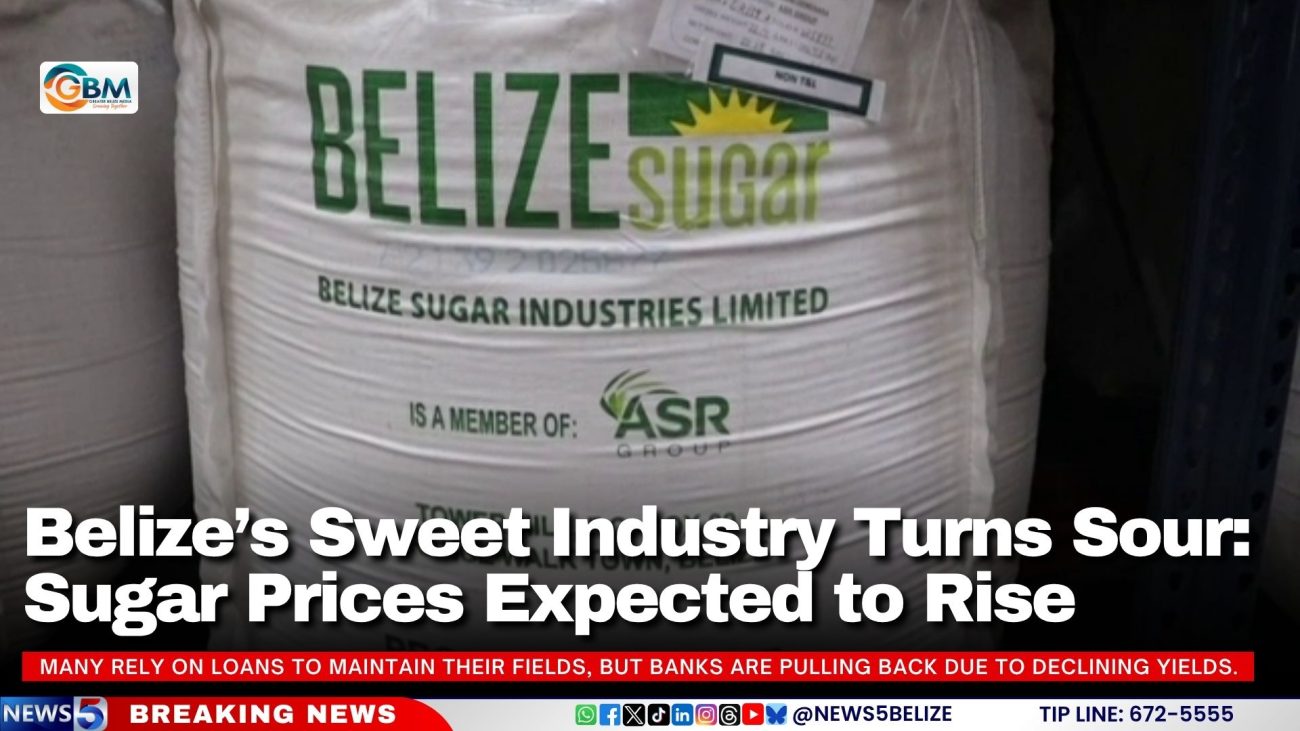 Belize’s Sweet Industry Turns Sour: Sugar Prices Expected to Rise