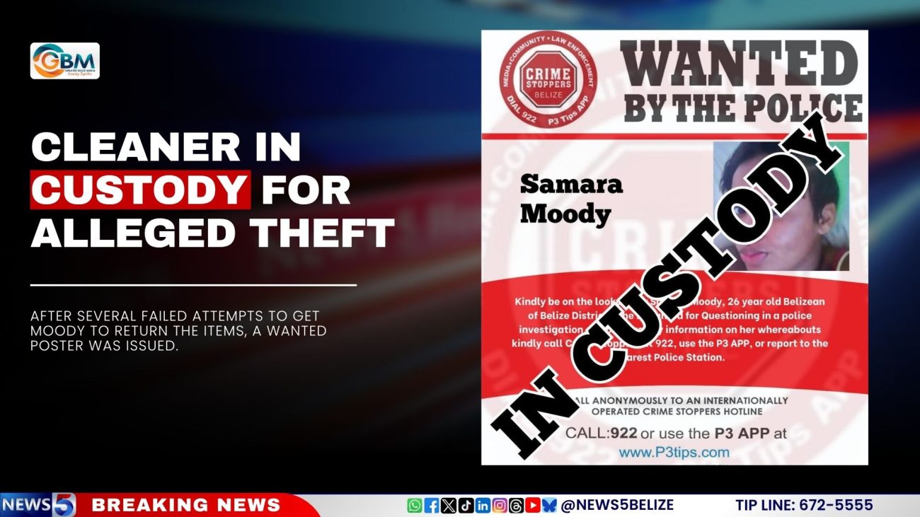 Cleaner in Custody for Alleged Theft