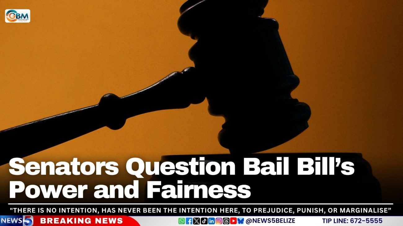 Senators Question Bail Bill’s Power and Fairness