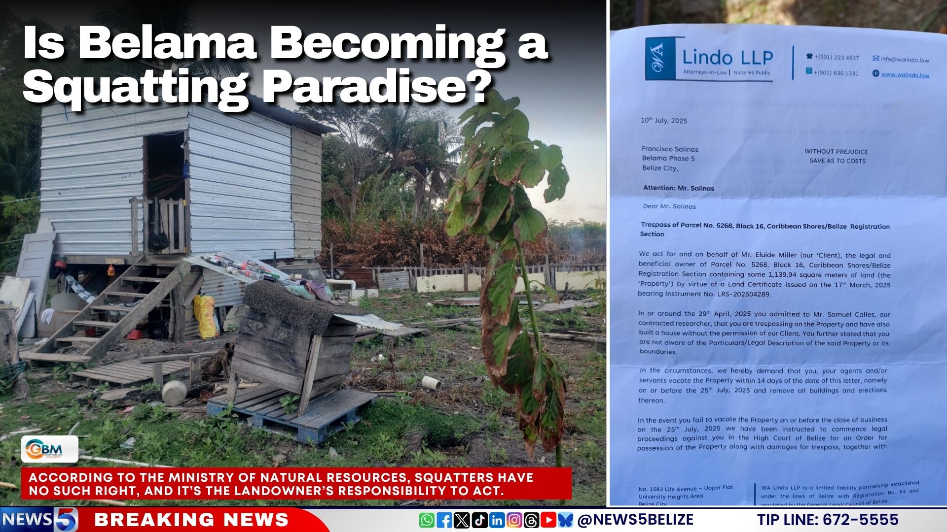 Is Belama Becoming a Squatting Paradise?