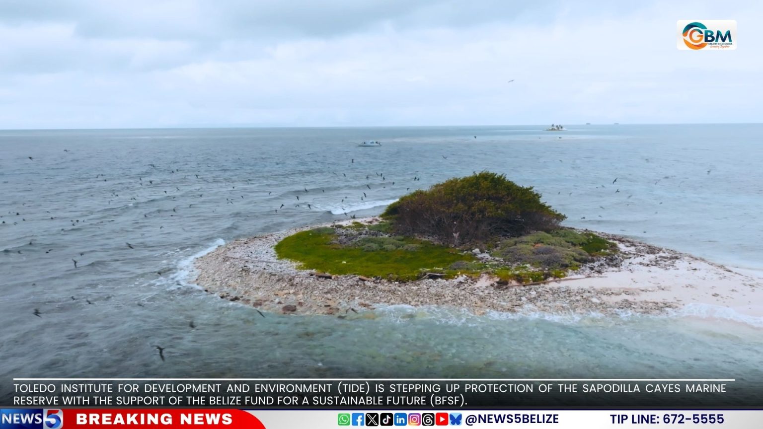 Illicit Fishing Threatens Belize’s Southern Sea | Greater Belize Media