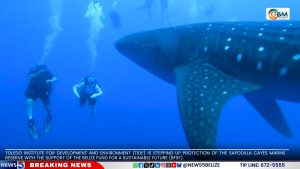 Illicit Fishing Threatens Belize’s Southern Sea
