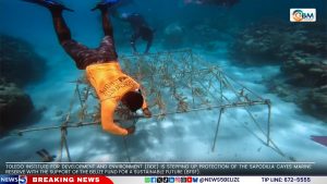 Illicit Fishing Threatens Belize’s Southern Sea
