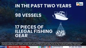 The Clock Is Ticking: Blue Bonds Are Buying Time for the Sea