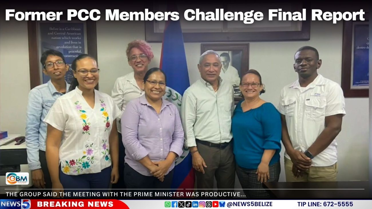 Former PCC Members Challenge Final Report
