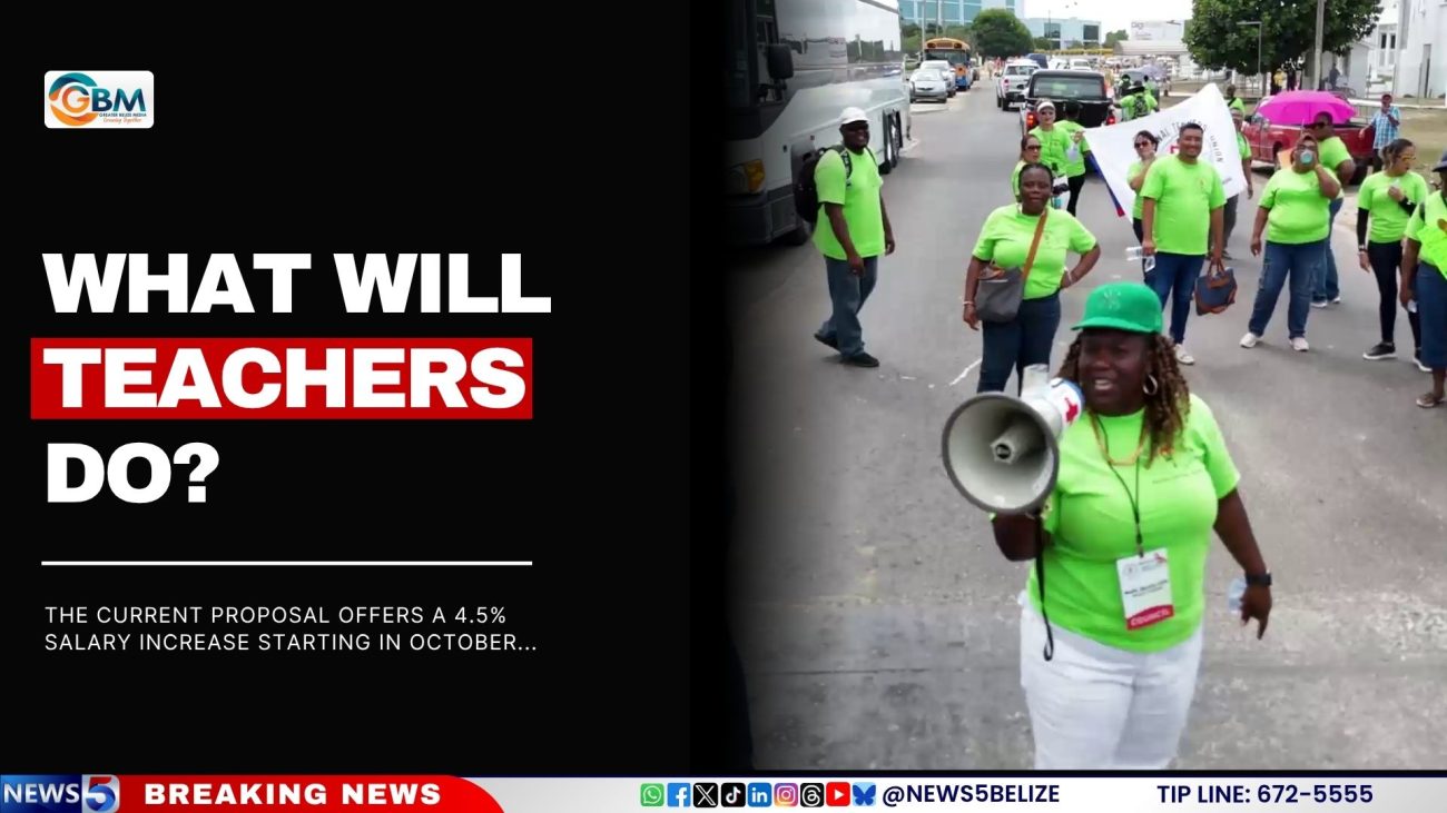 What Will Teachers Do?