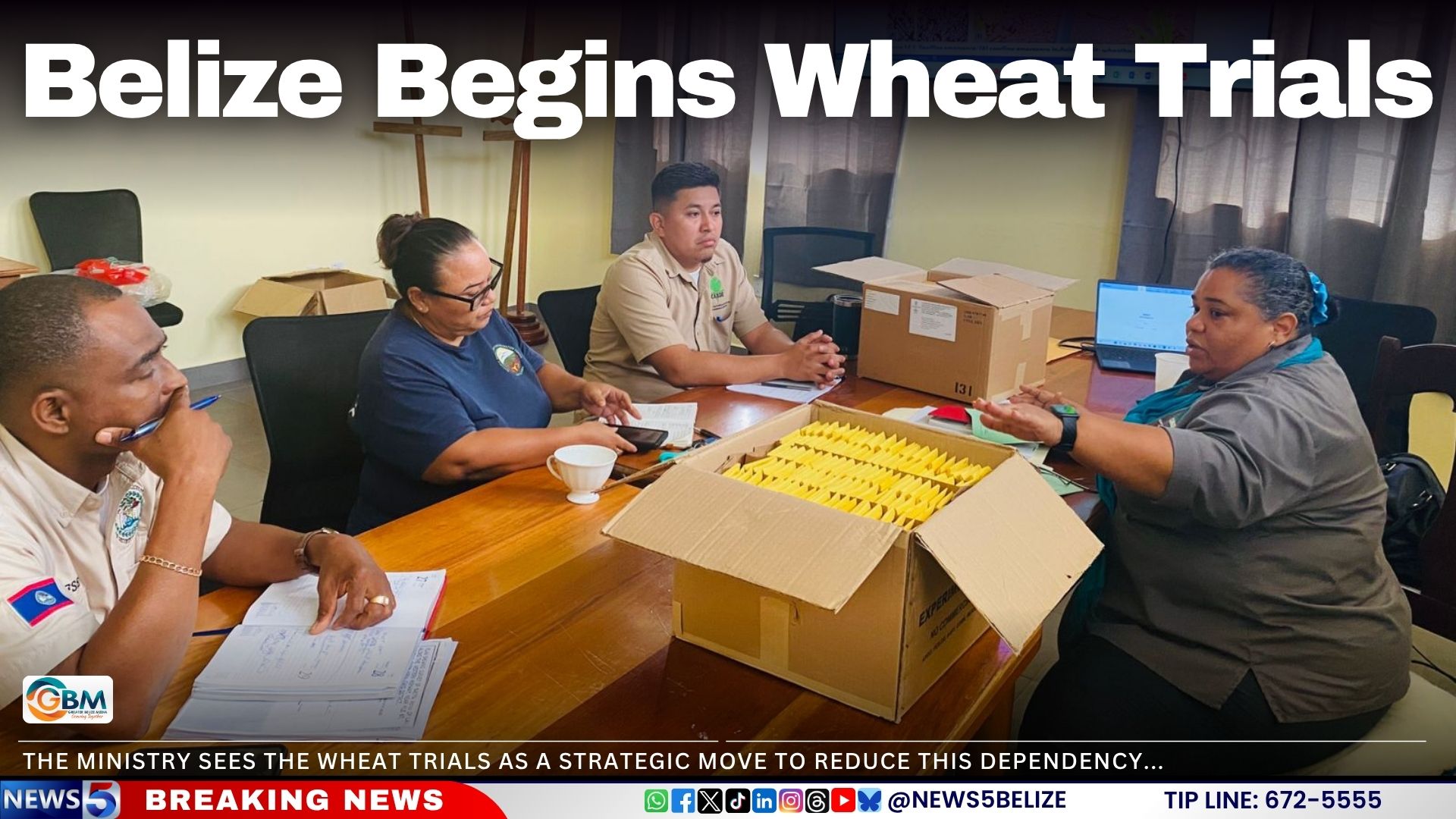 Belize Begins Wheat Trials