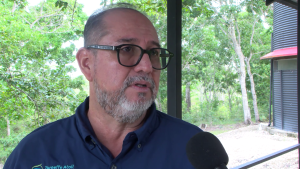 Valdemar Andrade