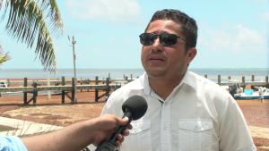 Valentine Rosado