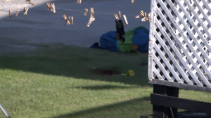 Gunman Strikes on Vernon Street: Earl Anderson Critical