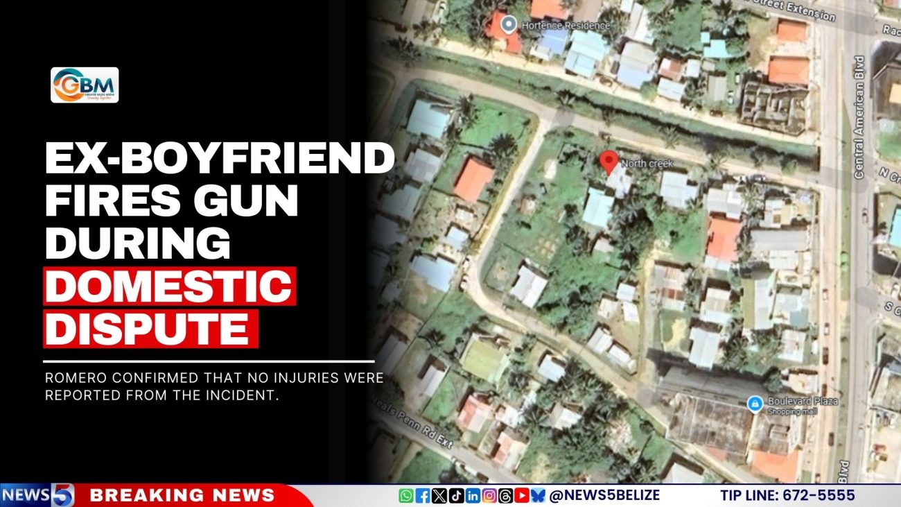 Ex-Boyfriend Fires Gun During Domestic Dispute