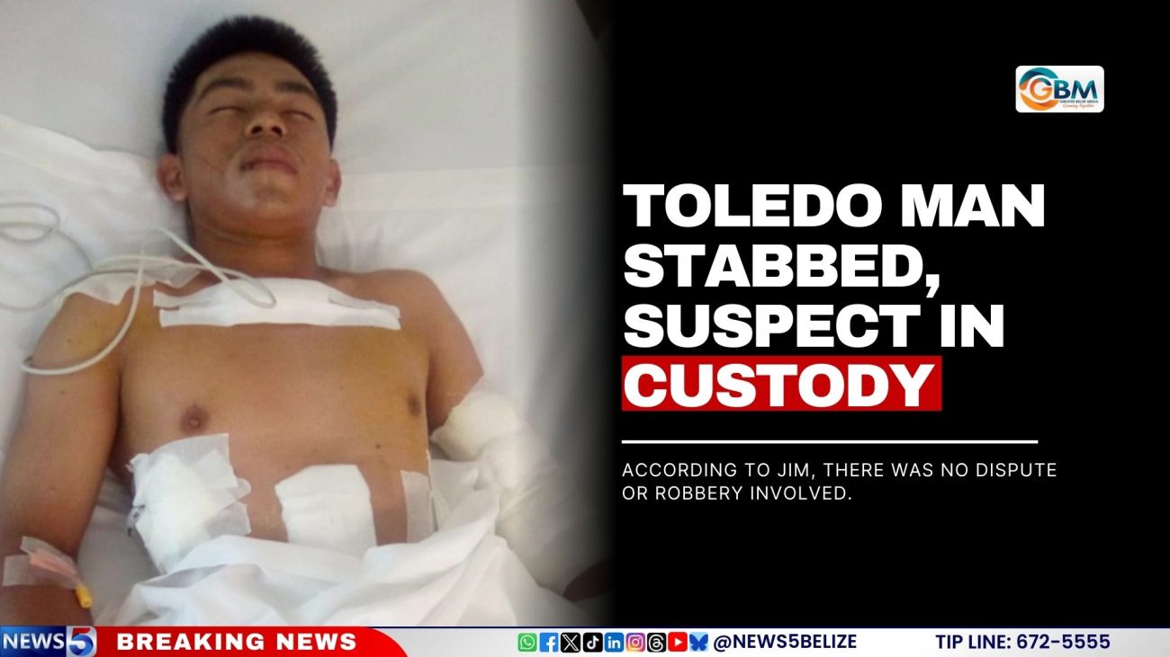 Toledo Man Stabbed, Suspect in Custody