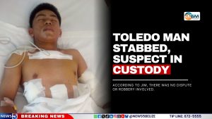 Toledo Man Stabbed, Suspect in Custody