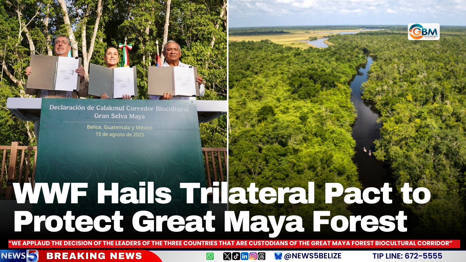 WWF Hails Trilateral Pact to Protect Great Maya Forest