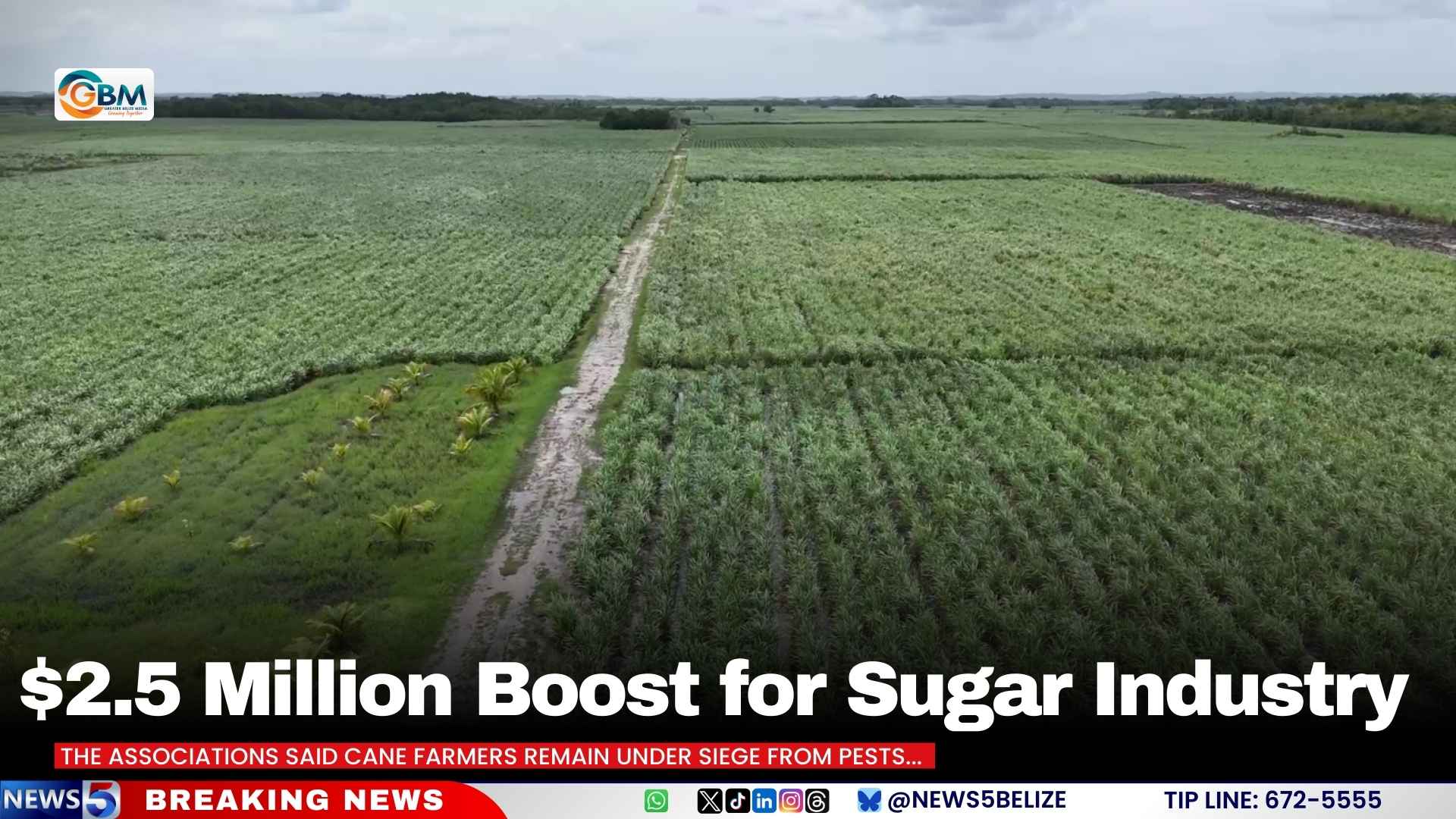 $2.5 Million Boost for Sugar Industry