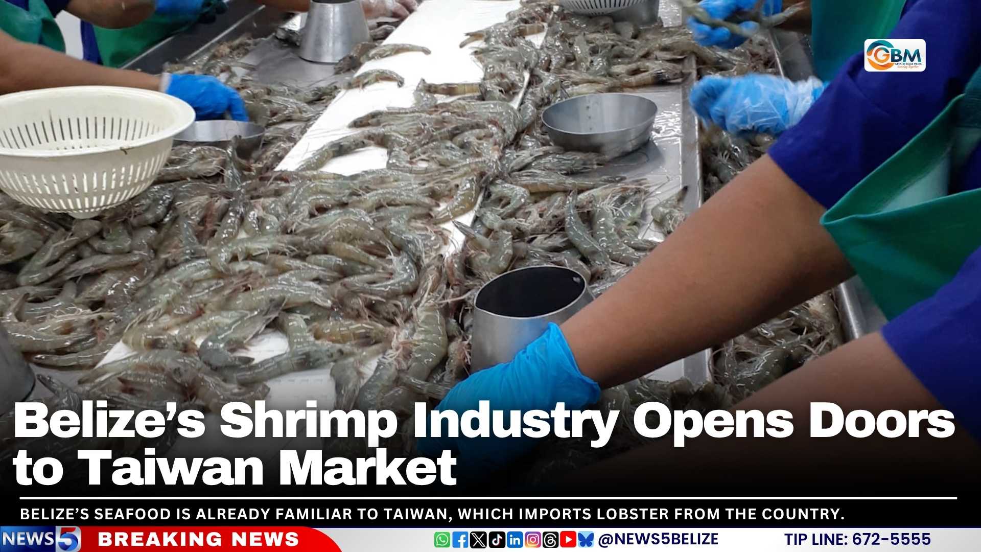 Belize’s Shrimp Industry Opens Doors to Taiwan Market