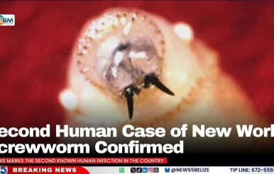 Second Human Case of New World Screwworm Confirmed
