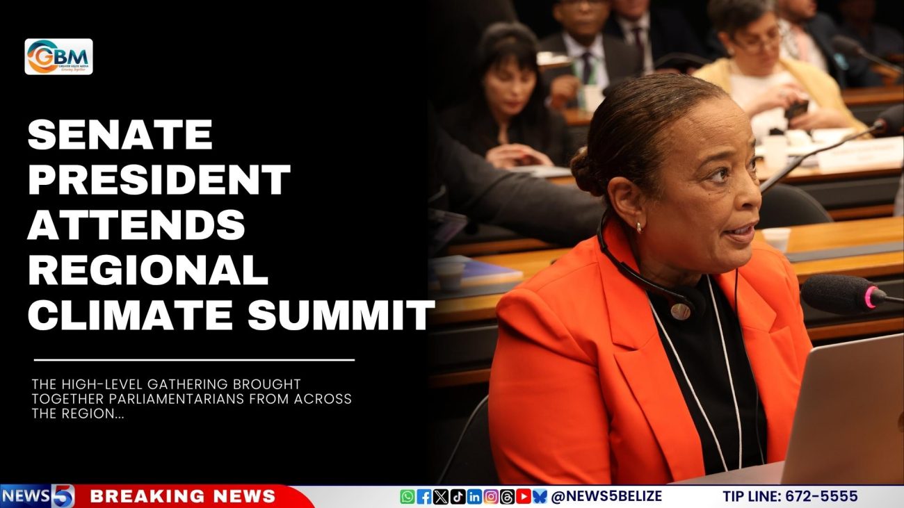 Senate President Attends Regional Climate Summit in Brazil