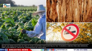 Belize Joins Regional Push for Smoke-Free and Emission-Free Latin America