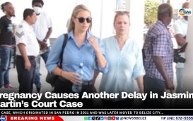 Pregnancy Delays Jasmine Hartin’s Court Case Again
