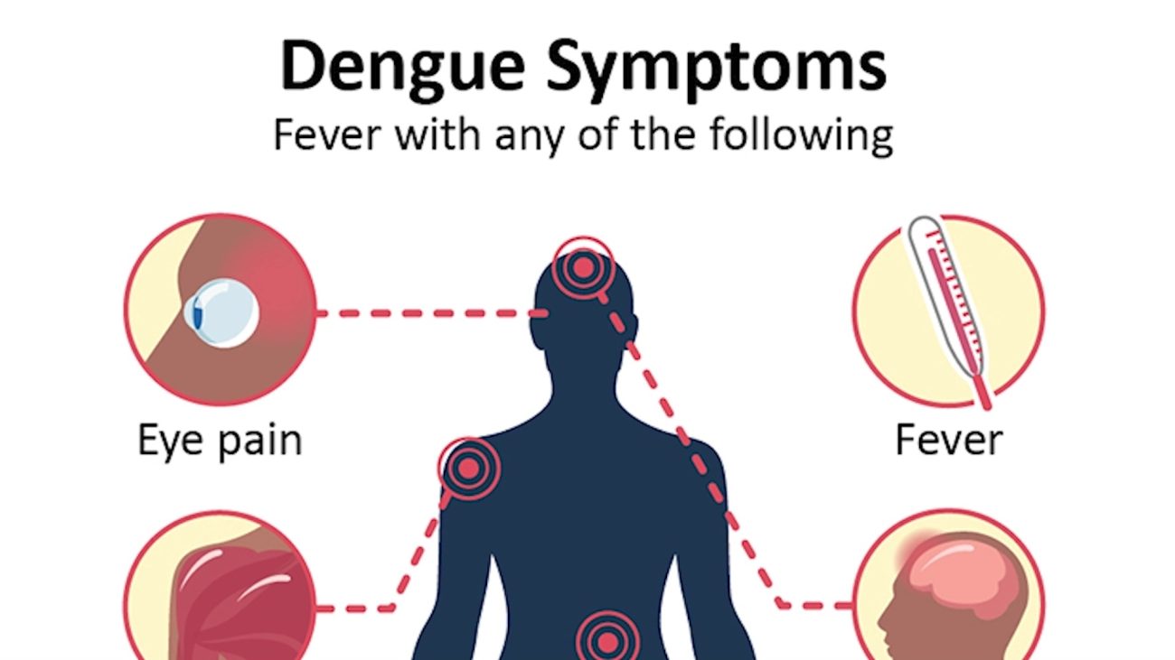 Dengue