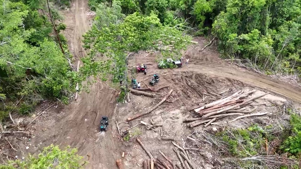 Illegal Logging