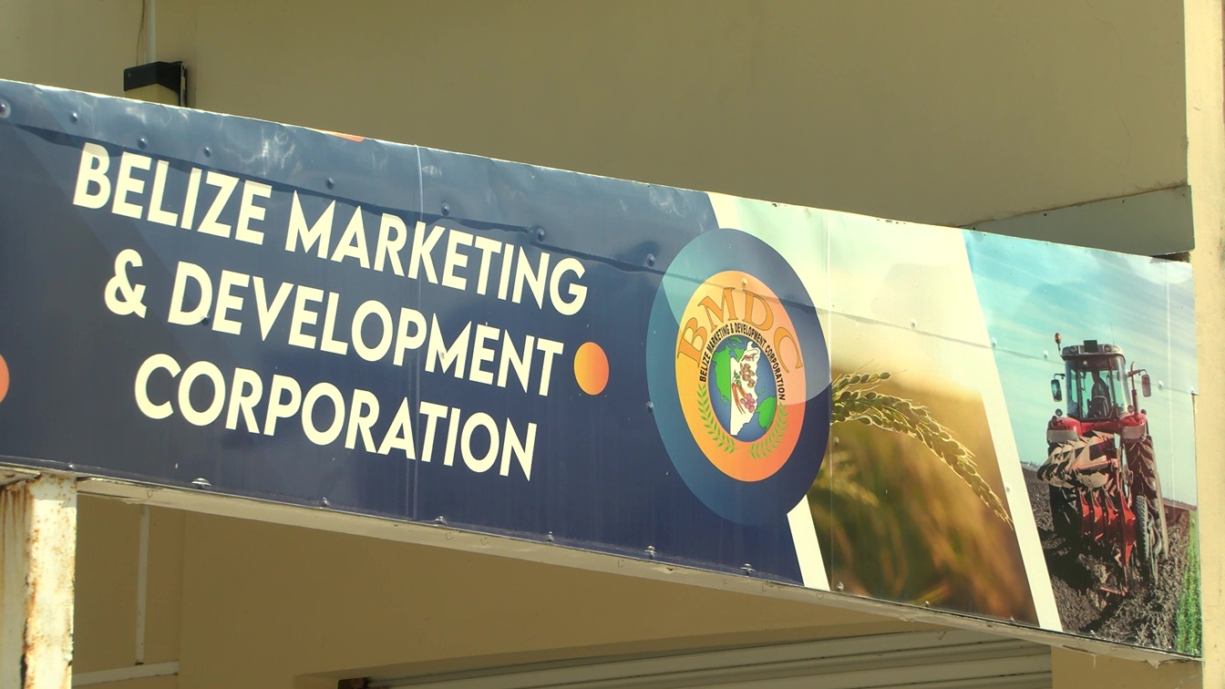 Supporting Farmers to Keep Pace in an Evolving Industry