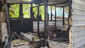 Burned House In San Pedro