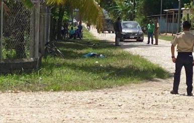 Police Investigate Fatal Bella Vista Stabbing