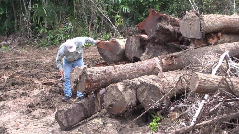 Authorities Investigate Maya Mound Destruction in Boston