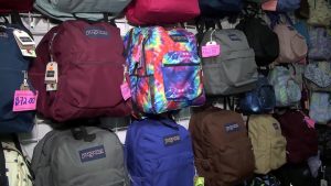JanSport School Bags 