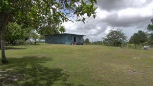 quiet farm in Millers Bight