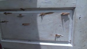 hail of bullets