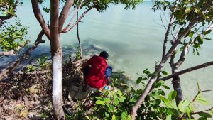 Three Lagoons Sustainable Program