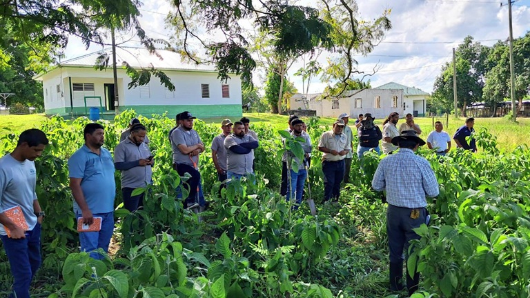 From Plastic to Jaguars: Belize Acts on Climate Change