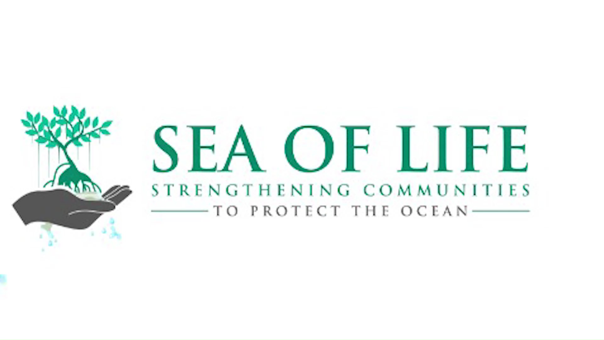 Belizean Businesses Awarded $7,500 Boost for Plastic Solutions