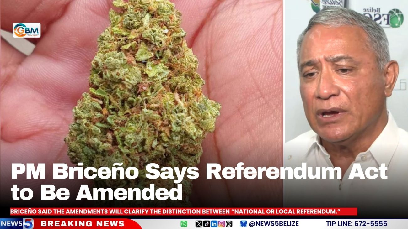 PM Briceño Says Referendum Act to Be Amended