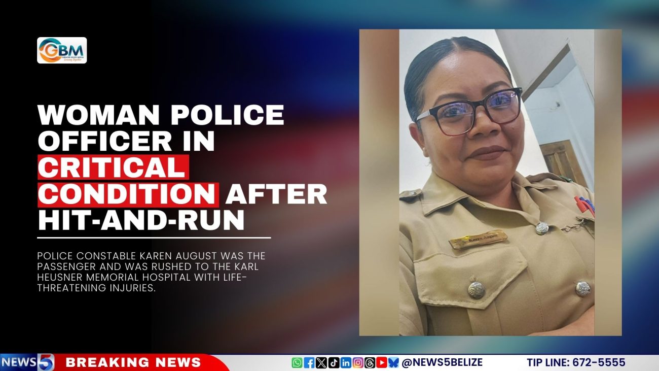 Woman Police Officer in Critical Condition After Hit-and-Run