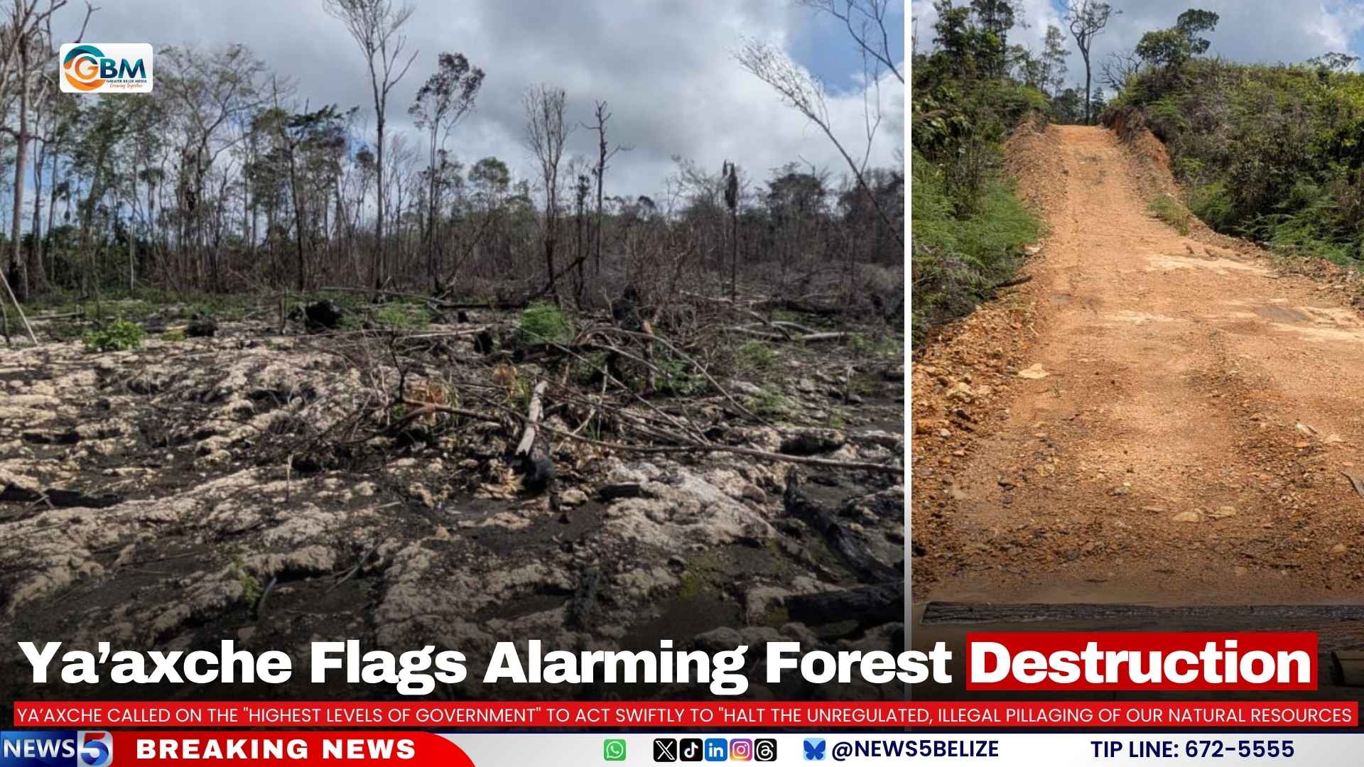 Ya’axche Flags Alarming Forest Destruction