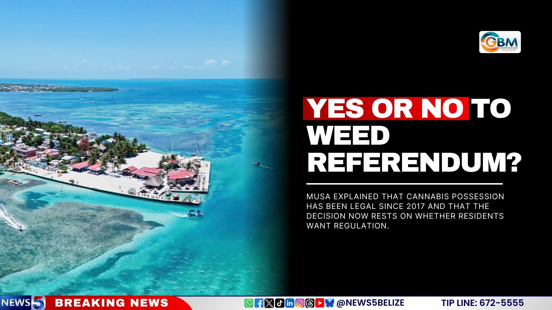 Yes or No to Weed Referendum?