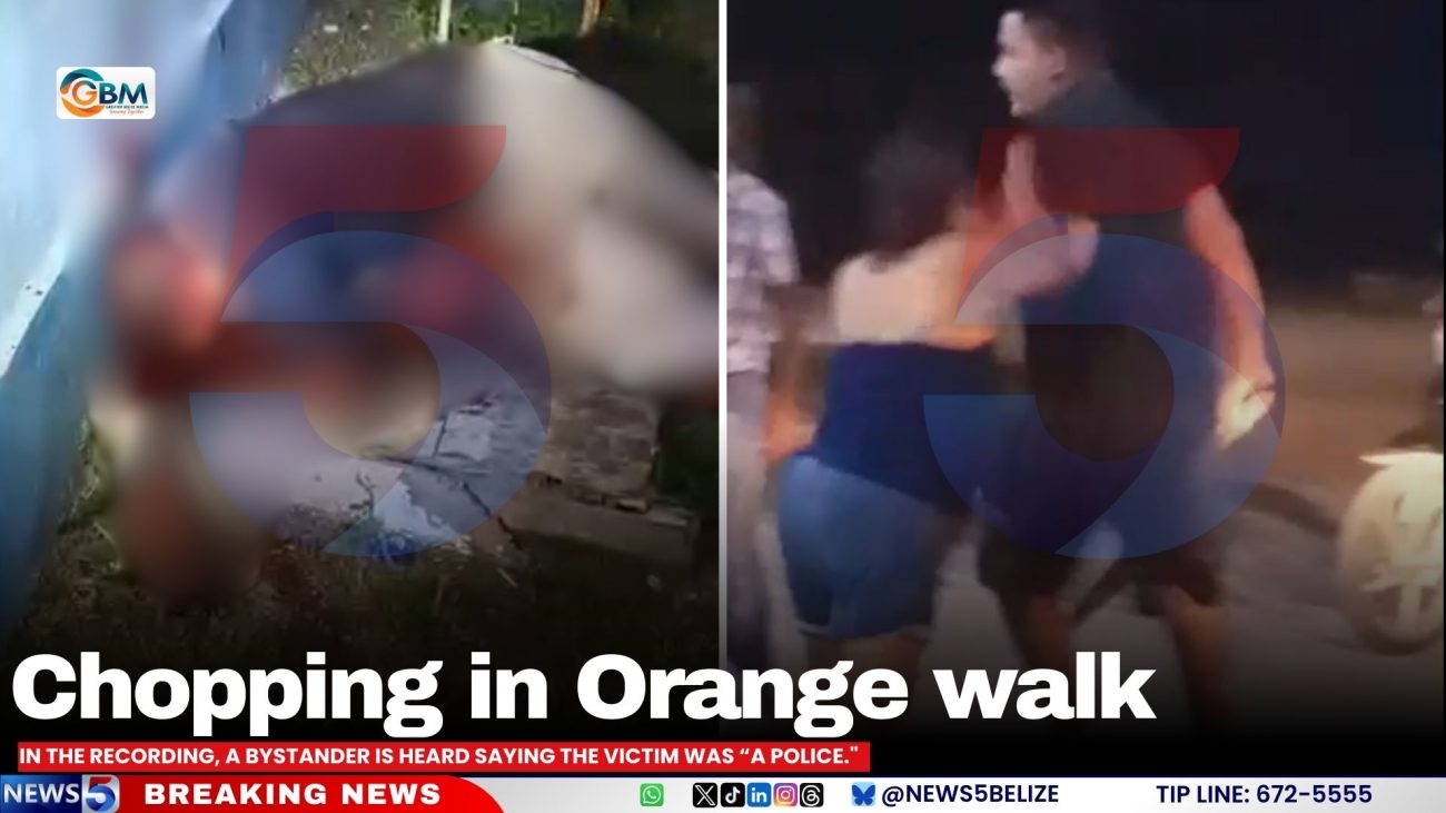 Chopping in Orange Walk