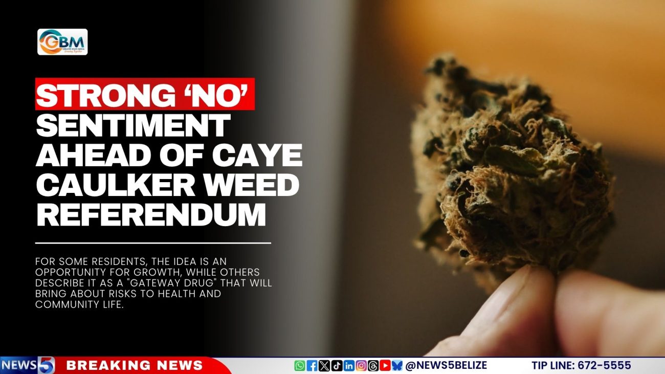 Strong ‘No’ Sentiment Ahead of Caye Caulker Weed Referendum