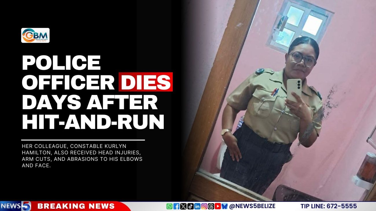 Police Officer Dies Days After Hit-and-Run