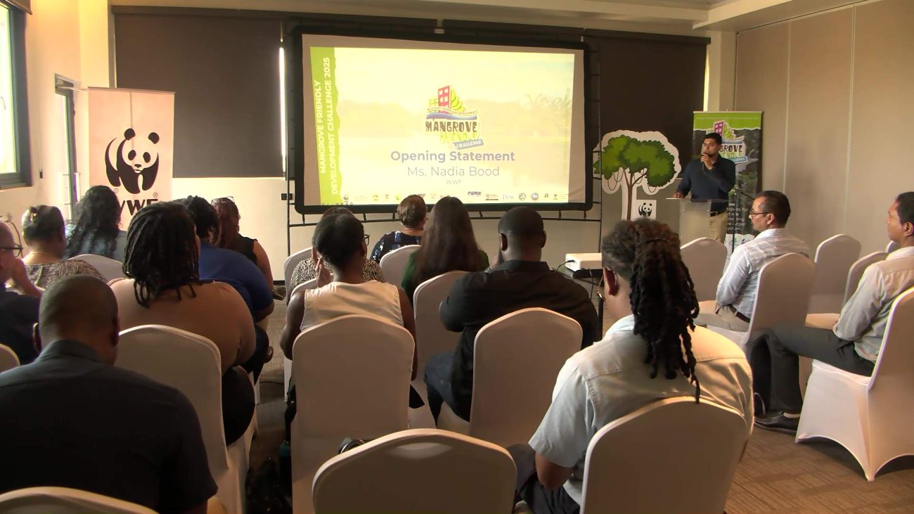 WWF Kicks Off Mangrove-Friendly Development Competition